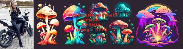 гашик Беломорск