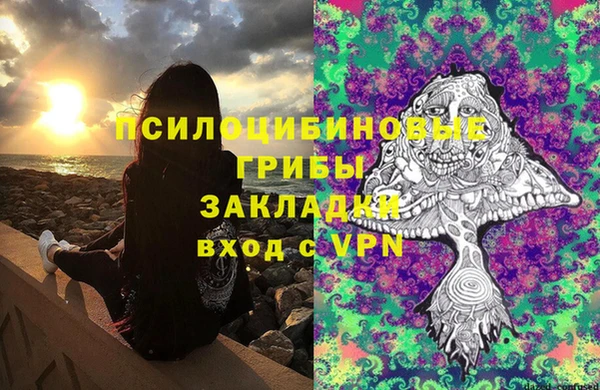 гашик Беломорск