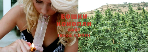 mix Белокуриха