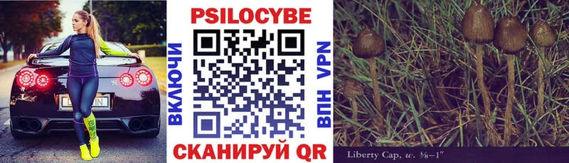 Галлюциногенные грибы мицелий  даркнет состав  Брюховецкая 